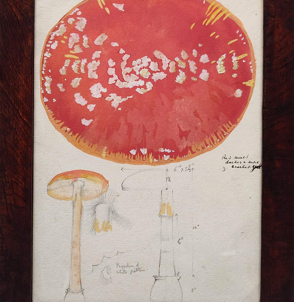 Thumbnail: 'Shaggy Inkcap' Watercolour and Pencil Drawing