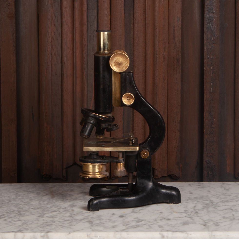 Thumbnail: Early 20th Century Large Microscope in a Carrying Case