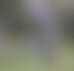 Minety 2nd XV v Warminster 2nd XV