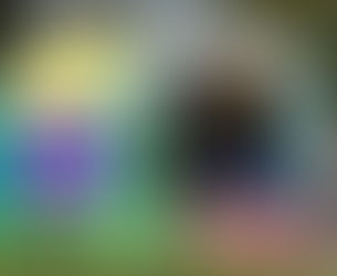 Saturday 27 April 2013