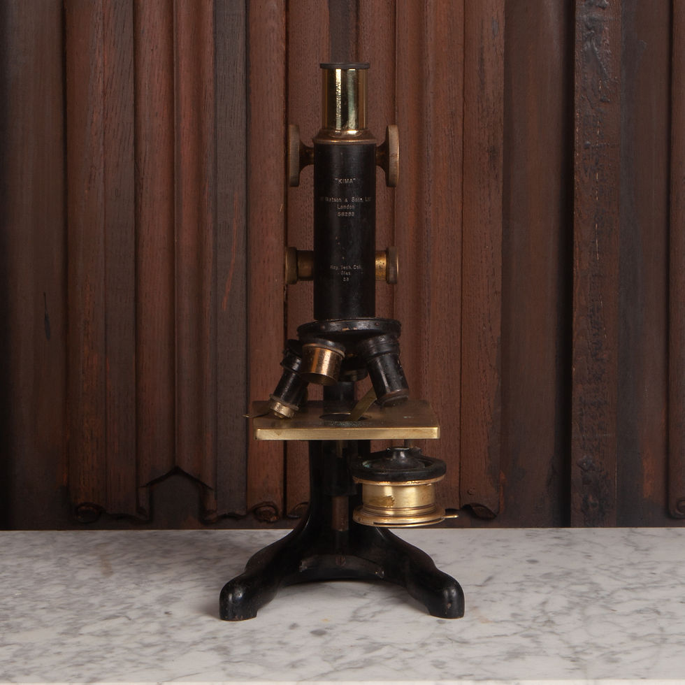 Thumbnail: Early 20th Century Large Microscope in a Carrying Case