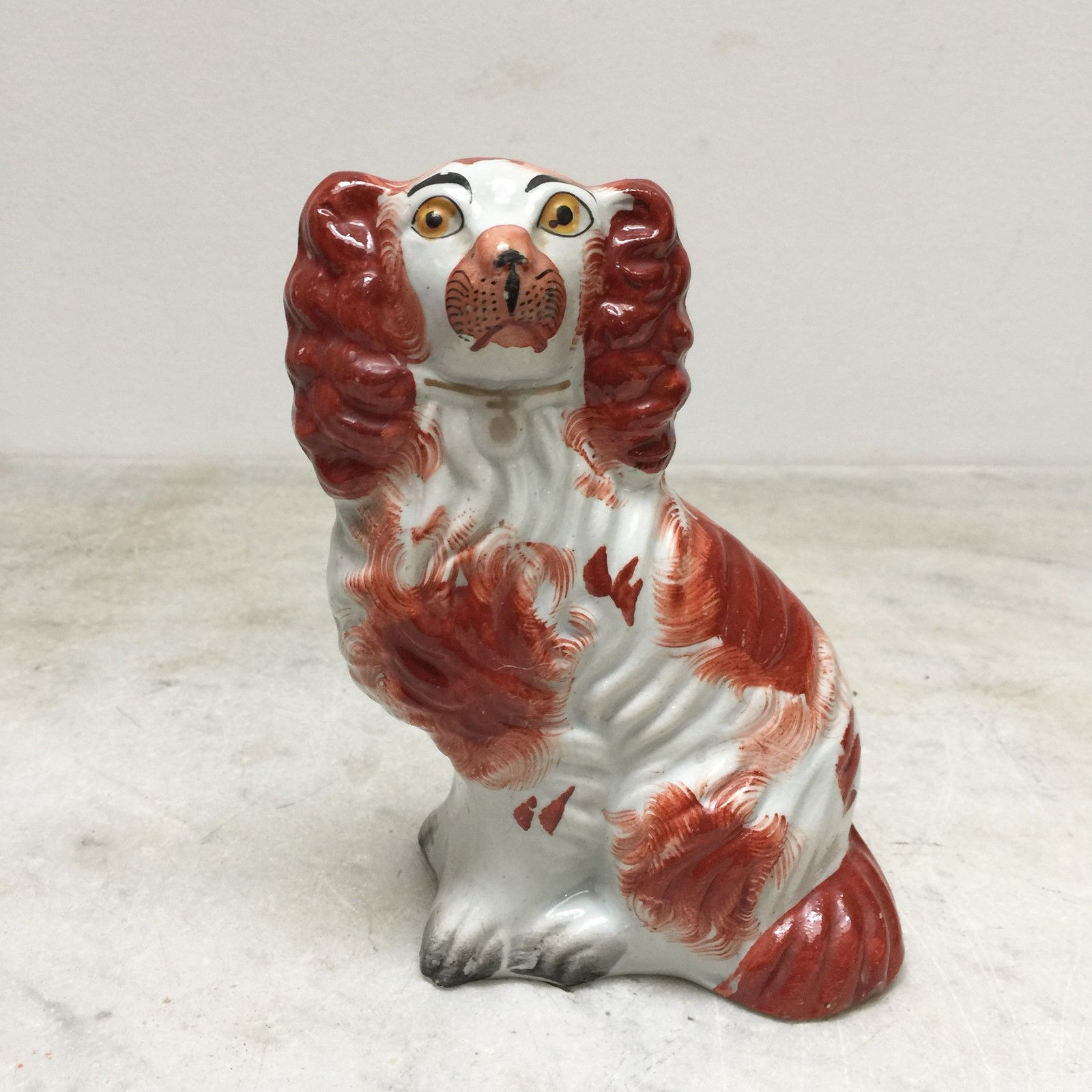 Ginger Staffordshire Spaniel- Size 5