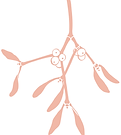 mistletoe.png