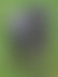 Saturday 3 November 2012