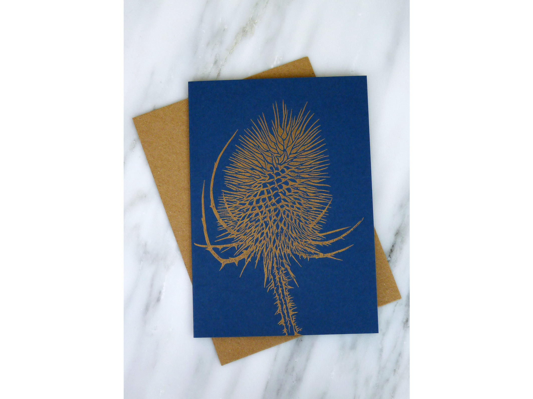 Teasel - Single