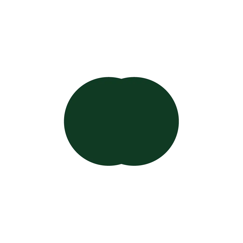 Intune Shapes Weighted-05.webp