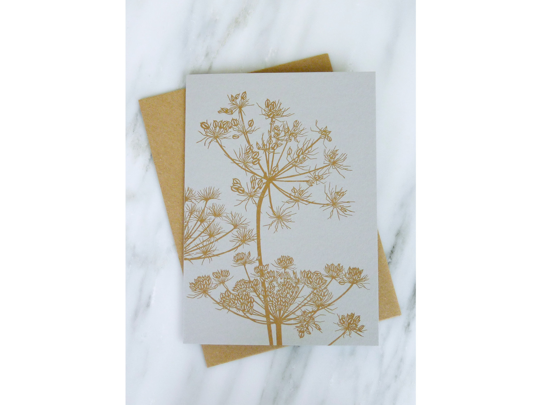 Cow Parsley