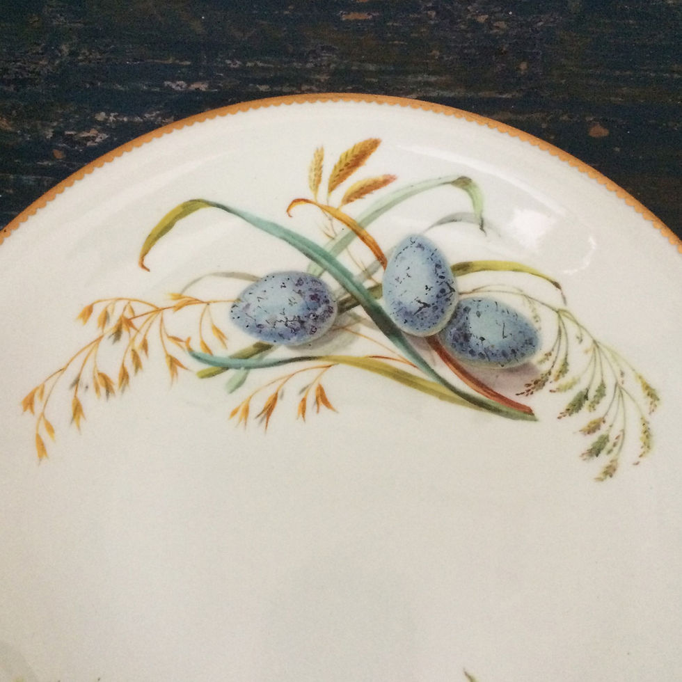 Thumbnail: 'Blackbird Eggs' C19th Brownfield Plate