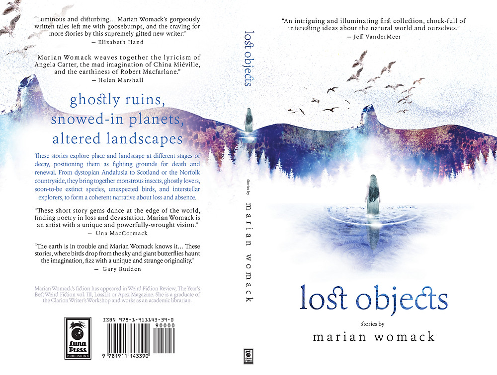"Lost Objects" by Marian Womack. Cover art by Vince Haig