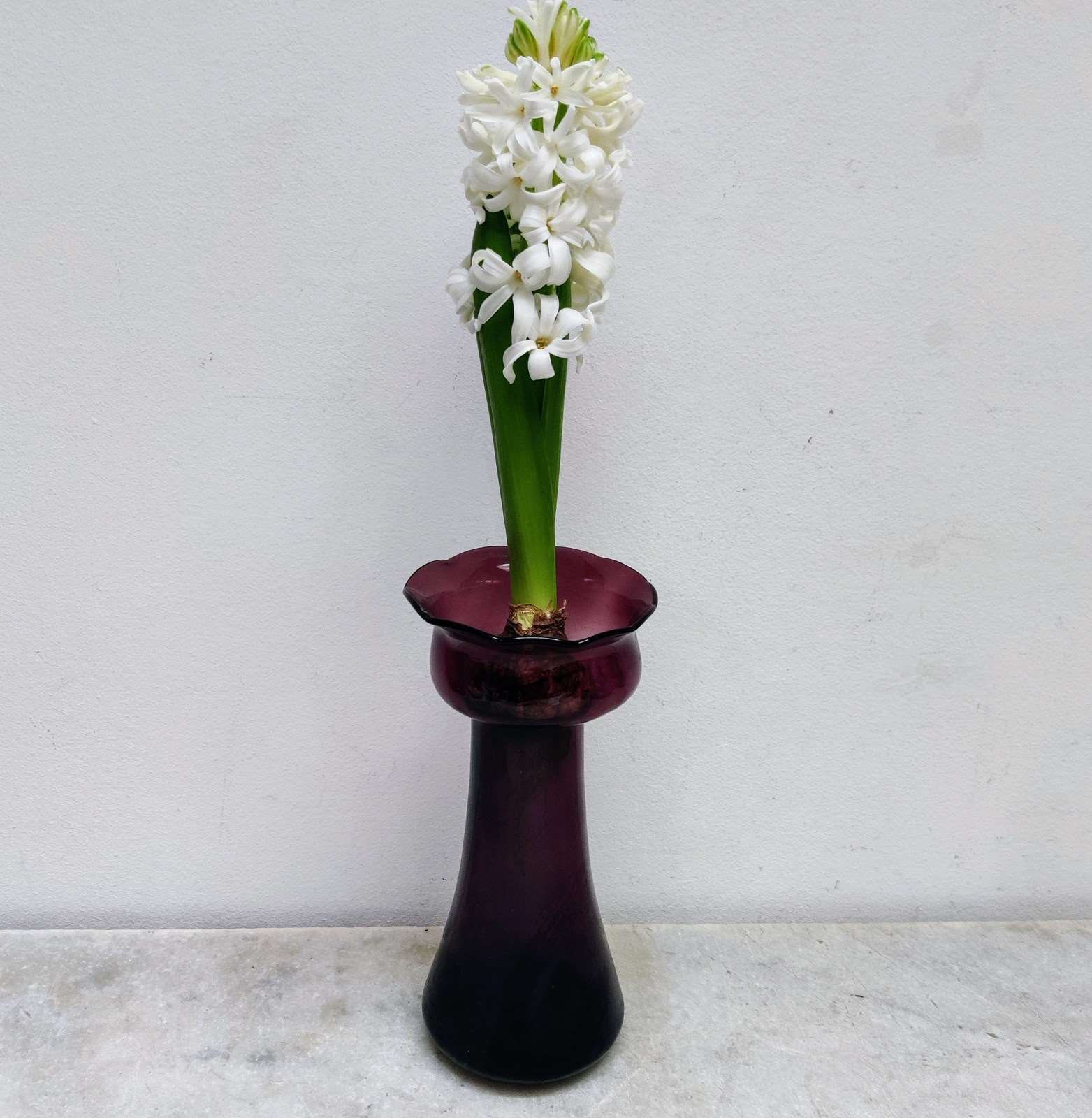 Tall, Fluted Mauve Bulb Vase
