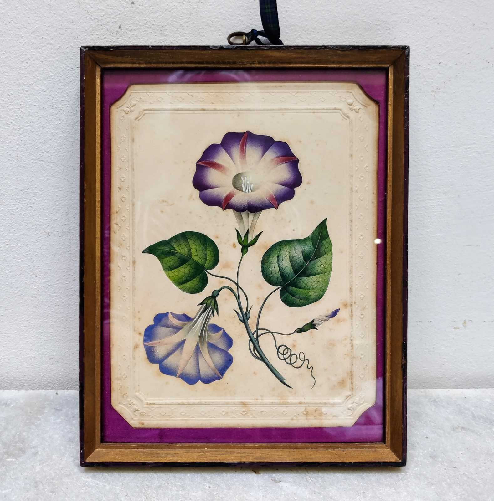 Early C19th 'Convolvulous' Watercolour