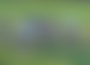 Minety grind out victory in the mud