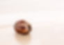 coconut-floating-very-calm-shallow-sea.jpg