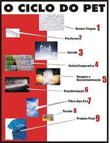 ciclo do pet.jpg