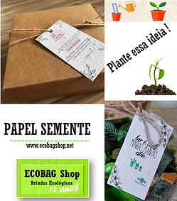 post papel semente 31 mar 21 pq.png