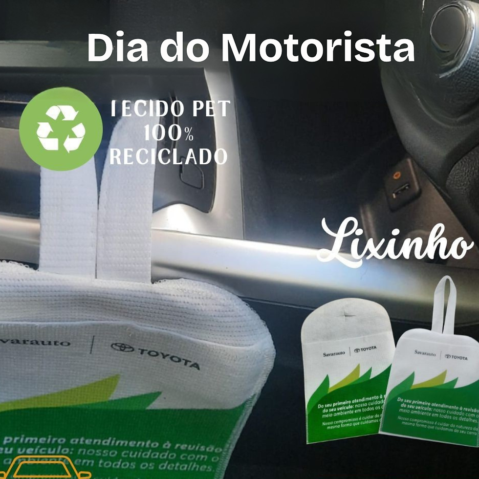 01-162-Lixocar