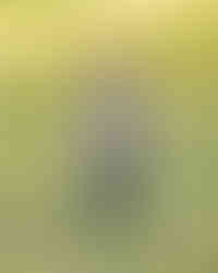 Toddler photoshoot in Dehradun park — natural outdoor kids photography by Prism Eye Productions.