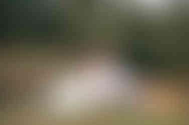 Rishikesh mountain in the backdrop shoot