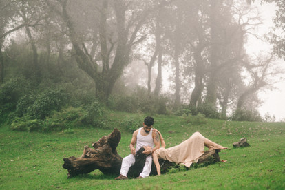 Couple with black dog sitting on log in misty forest. Prismeyeproductions, best wedding photographer in Dehradun