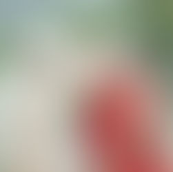 A Team of the Best Wedding Photographers in Dehradun: Prism Eye Productions Will Be Your Personal Storyteller