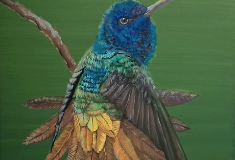 ARTE COLIBRÍ, COLIBRIES, ARTE GUATEMALA