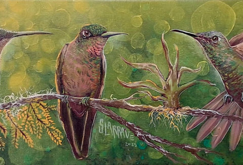 ARTE COLIBRÍ, COLIBRIES, ARTE GUATEMALA