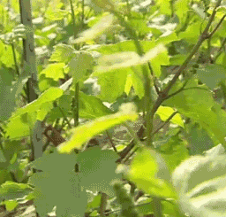 index-box_3.gif
