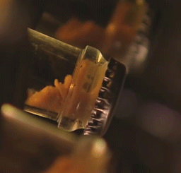 index-box_40.gif