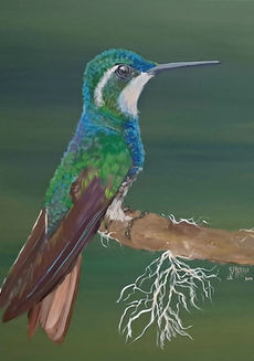 ARTE COLIBRÍ, COLIBRIES, ARTE GUATEMALA
