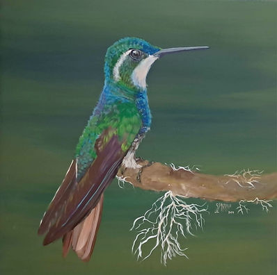 ARTE COLIBRÍ, COLIBRIES, ARTE GUATEMALA