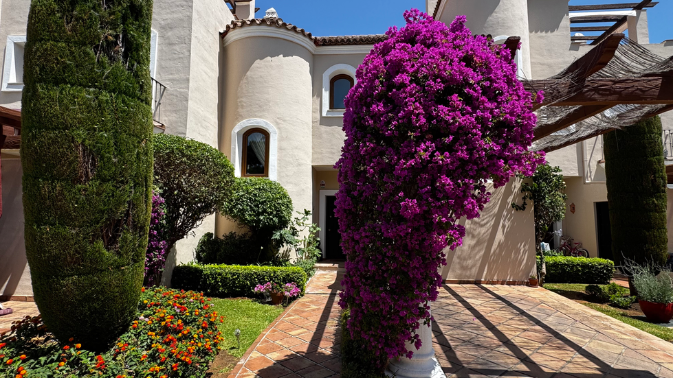 Mediterranean-style house with vibrant purple bougainvillea.
