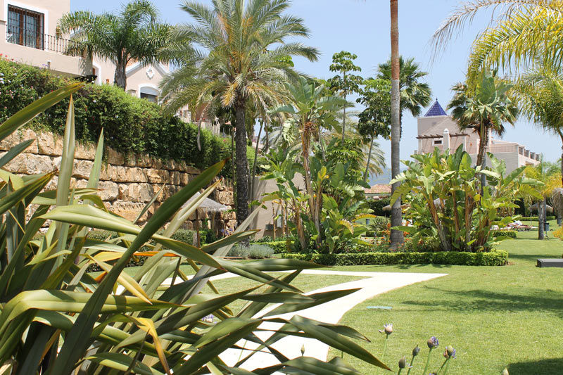 Lush garden with palm trees and a stone wall.