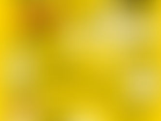 ¿Cómo hacer papel reciclado?