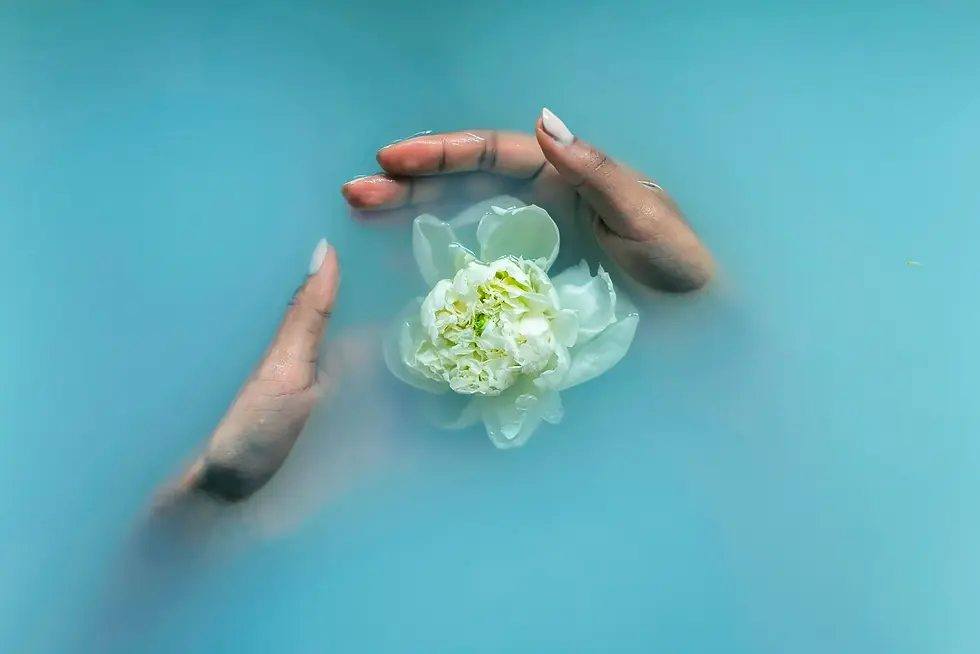 Votre séjour sur le thème du dessin chez Maison Monoï