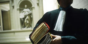 Avocat Droit Rural Agricole