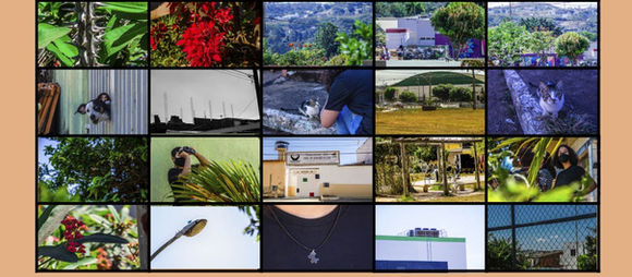Painel com fotos tiradas pelos os alunos da oficina de fotografia.