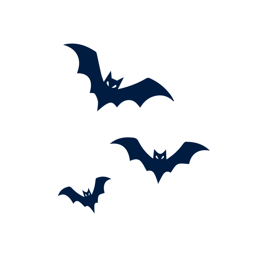 HALLOWEEN_bat__elements.png