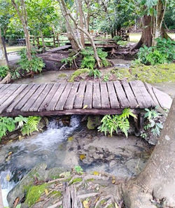 10376e39bd244b15b9547ccdf5a8c184