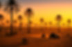 ChatGPT Image 3 juil_edited.jpg