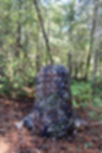 Thumbnail: Augmento™ Backpack Ghillie Cover