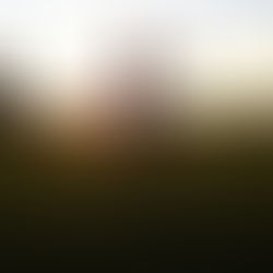 Small Changes Big Impact: How Tiny Habits Can Transform Your Weight Loss Journey