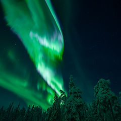 Photography Northern Lights Tour Levi No Aurora you get full refund