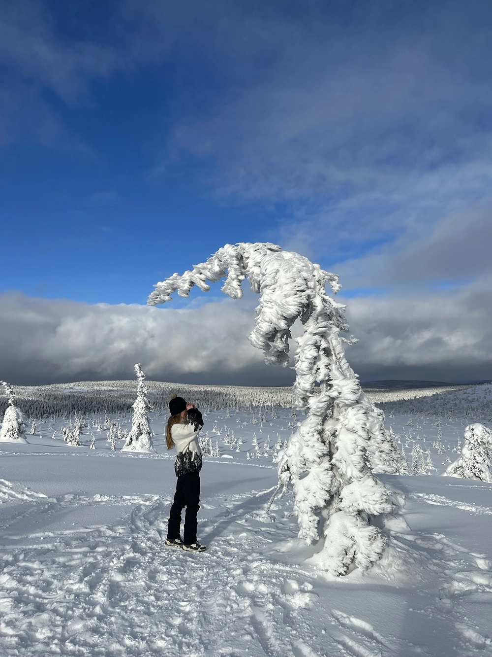 Arctic Photography Session Lappiland