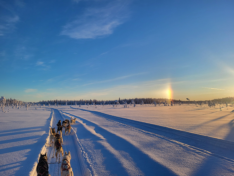 The Authentic Private 10km Husky Safari Lapland