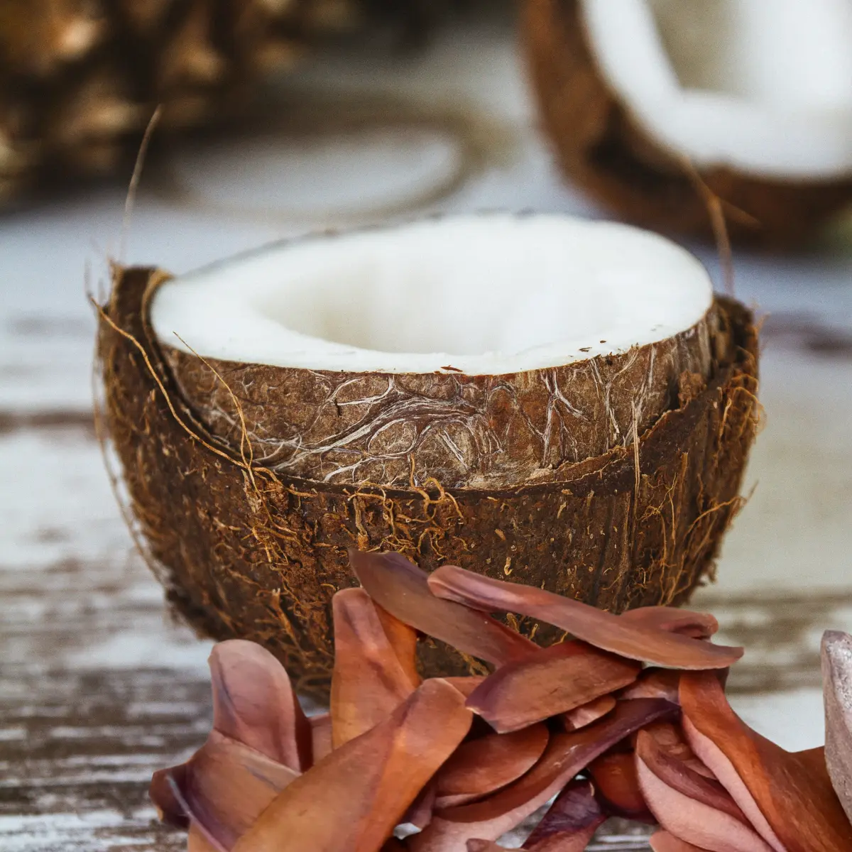 Salted Coconut Mahogany 