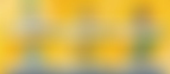 Pokemon: Diamond Nuzlocke edition