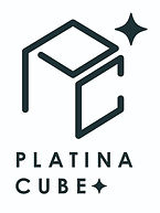 platina-cube_logo_1_edited.jpg