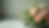 Close-up view of a seasonal floral arrangement with soft greenery and delicate blooms