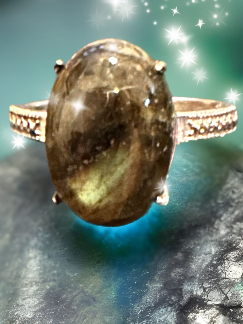 The 411 on the EBay Millionaire, Tril and Bil rings!