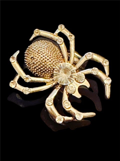 Weaving Spiders Come Not Here